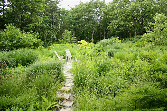 Digging Deeper: In Response to Place—The Making of a Garden